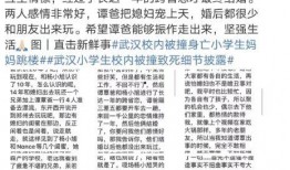 武汉谭先生最新爆料,揭秘XX事件背后真相