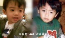 lucas视频爆料,娱乐圈幕后真相大曝光