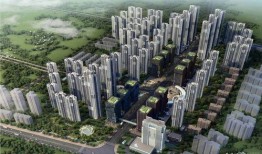 武汉保利城爆料视频曝光,揭秘项目真实情况与争议焦点