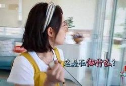 网友爆料张嘉倪视频,网友热议幕后真相