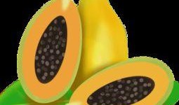 吃瓜音乐素材下载免费版,吃瓜音乐素材下载免费版体验解析