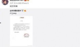 武汉谭先生最新爆料,揭秘XX事件背后真相