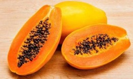 吃瓜吃火的网红